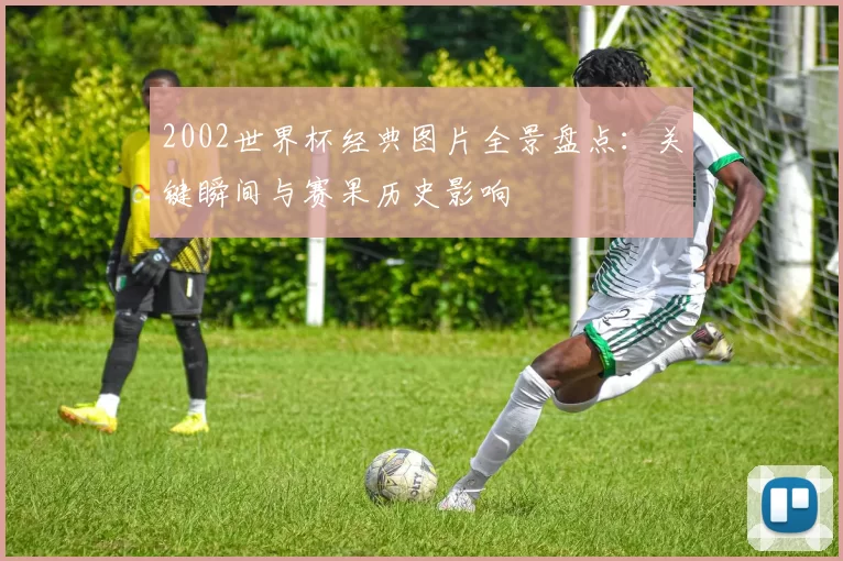 2002世界杯经典图片全景盘点：关键瞬间与赛果历史影响