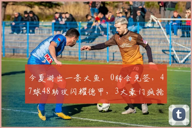 今夏游出一条大鱼，0转会免签，47球48助攻闪耀德甲，3大豪门疯抢_格雷茨卡_中场_欧冠