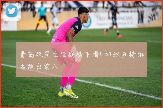 青岛双星主场战绩下滑CBA积分榜排名跌出前八