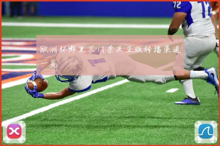 欧洲杯哪里买门票及正版转播渠道一览